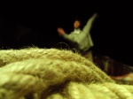 View the album La Porta del mare (back stage)