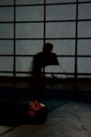View the album Verso la luce